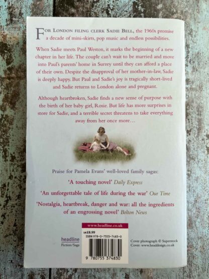 An image of the novel by Pamela Evans - The Other Side of Happiness
