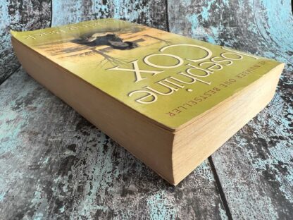 An image of a novel by Josephine Cox - Looking Back