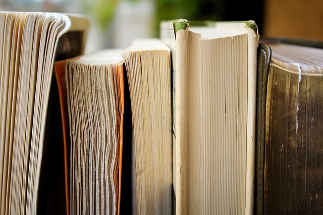 An image showing the paper side of some older secondhand books all lined up in a row.