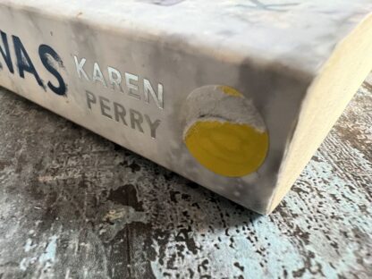 An image of a book by Karen Perry - The Boy that Never Was