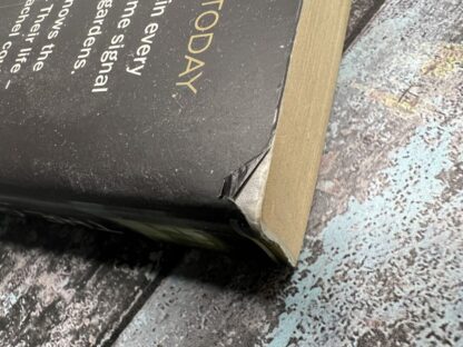 An image of a book by Paula Hawkins - The Girl on the Train