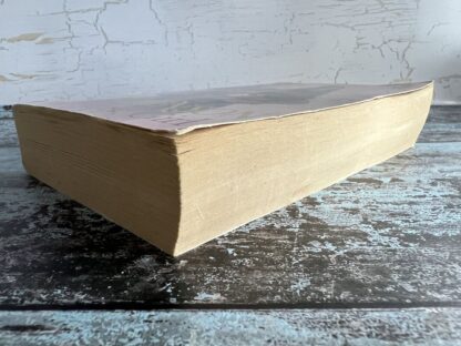 An image of a book by Meg Hutchinson - Sixpenny Girl