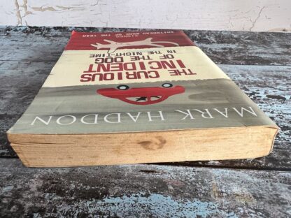 An image of a book by Mark Haddon - The Curious Incident of the Dog in the night-time