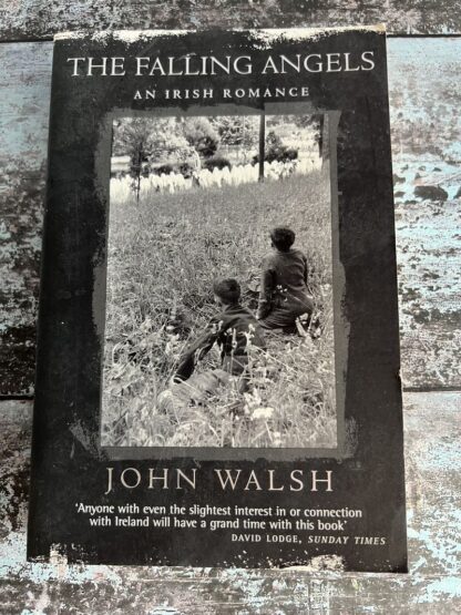 An image of a book by John Walsh - The Falling Angels
