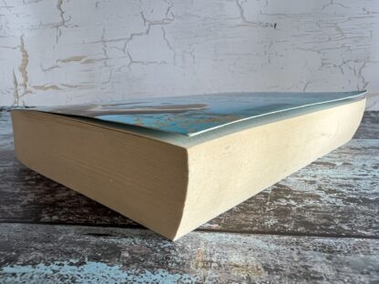 An image of a book by Christy Lefteri - The Beekeeper of Aleppo