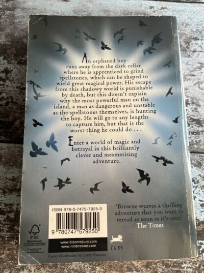 An image of a book by N M Browne - The Spellgrinders Apprentice