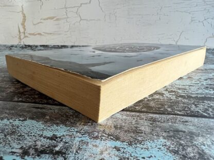 An image of a book by N M Browne - The Spellgrinders Apprentice