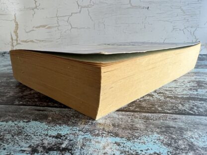 An image of a book by Sophie Kinsella - Twenties Girl