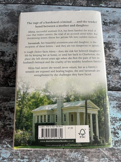 An image of a book by Danielle Steel - Southern Lights