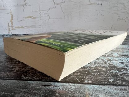 An image of a book by Danielle Steel - Southern Lights