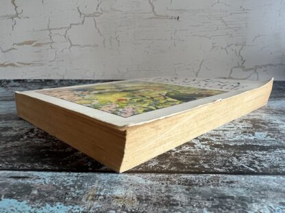 An image of a book by Joanna Trollope - A Village Affair