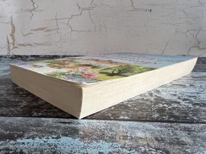 An image of a book by Suzanne Snow - The Cottage of New Beginnings