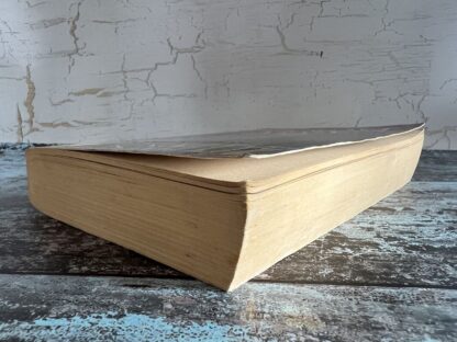 An image of a book by Valerie Massimo Manfredi - The lost Army
