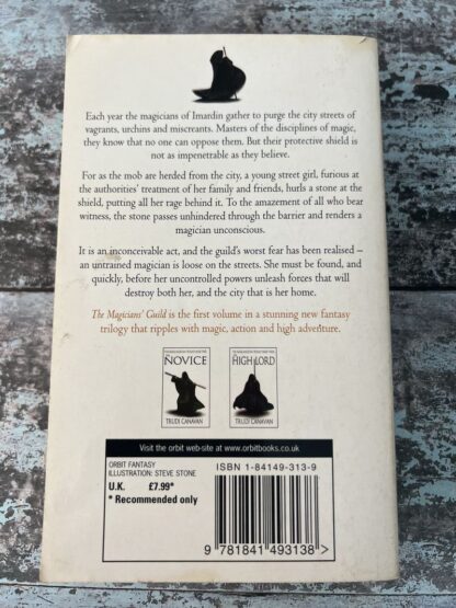 An image of a book by Trudy Caravan - The Magicians' Guild
