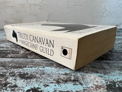 An image of a book by Trudy Caravan - The Magicians' Guild