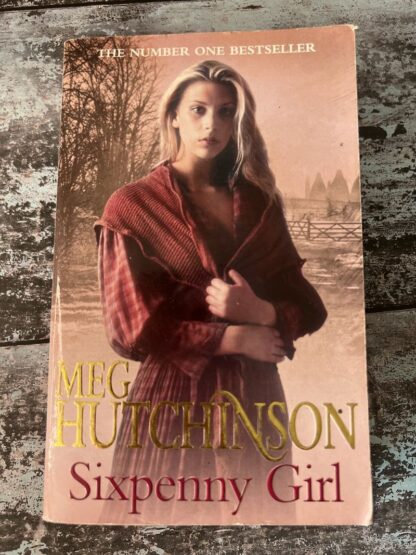An image of a book by Meg Hutchinson - Sixpenny Girl