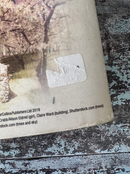 An image of a book by Dilly Court - Netties Secret