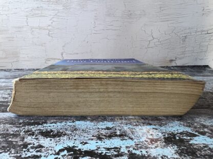 An image of a book by Richard Wiles - Bon Courage!