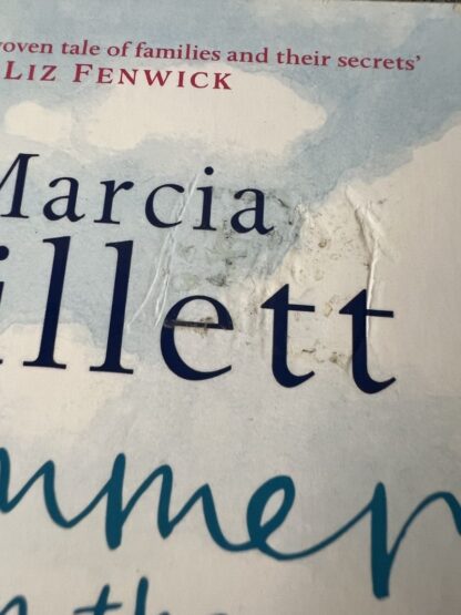 An image of a book by Marcia Willett - Summer on the River