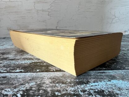 An image of a book by Danielle Steel - Echoes