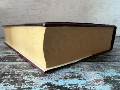 An image of a book by Susan Lewis - Stolen Beginnings
