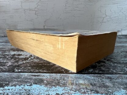 An image of a book by Elvi Rhodes - Cara's Land