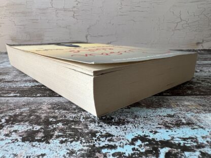 An image of a book by Susan Lewis - Hiding in Plain Sight
