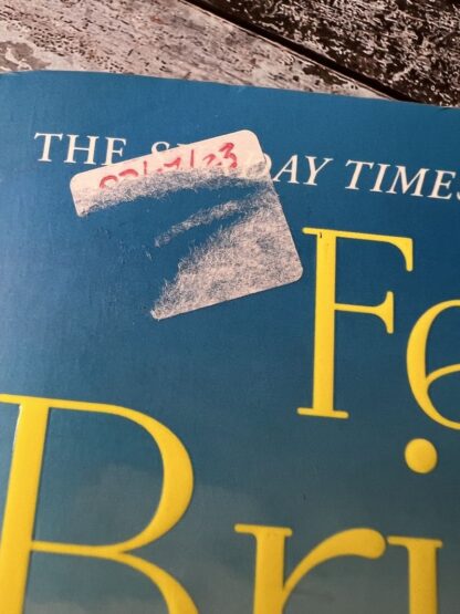 An image of a book by Fern Britton - The Newcomer