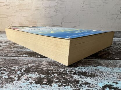 An image of a book by Fern Britton - The Newcomer