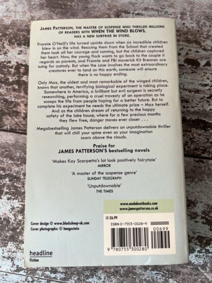 An image of a book by James Patterson - The Lake House