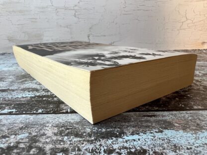 An image of a book by Michael Connelly - The Black Ice