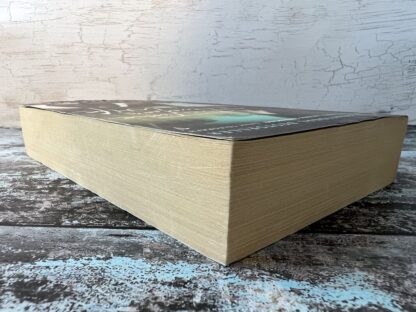 An image of a book by Audrey Niffenegger - The Time Traveler's Wife