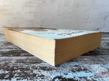 An image of a book by Kate Thompson - Secrets of the Sewing Bee