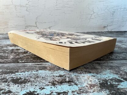 An image of a book by Tom Holt - My Hero