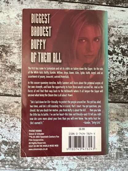 An image of a Buffy the Vampire Slayer - Chosen