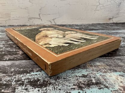 An image of a book by Buster Lloyd-Jones - The Animals Came in One by One