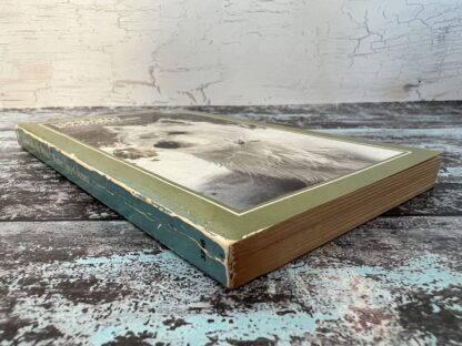 An image of a book by Buster Lloyd-Jones - Come Into My World