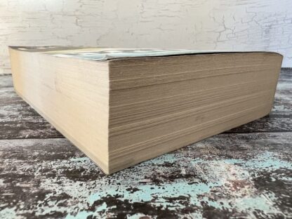 An image of a book by David Baldacci - The Fallen