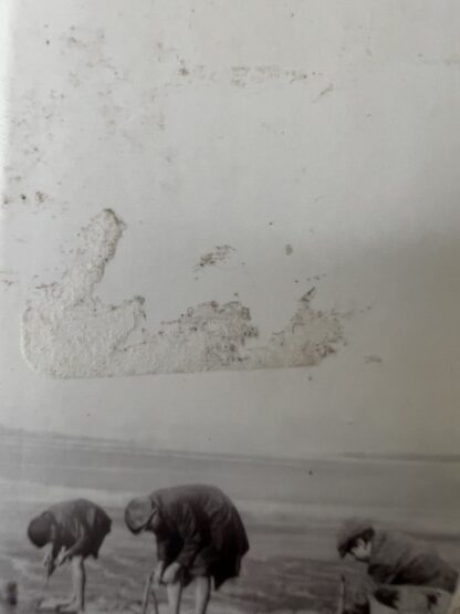 An image of a book by Dilly Court - Mermaids Singing