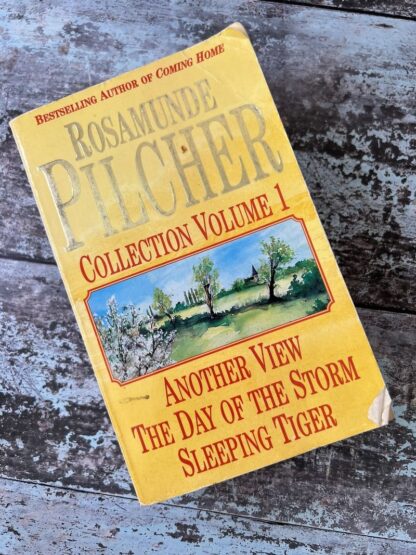 An image of a book by Rosamunde Pilcher - Another View / The day of the storm / sleeping tiger