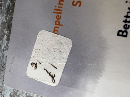 An image of a book by Lesley Pearse - You'll never see me again