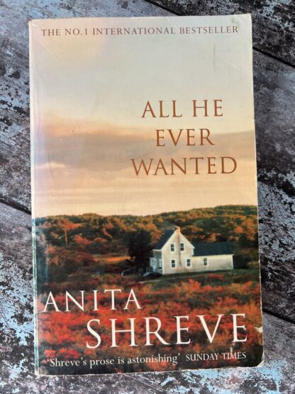 An image of a book by Anita Shreve - All He Ever Wanted