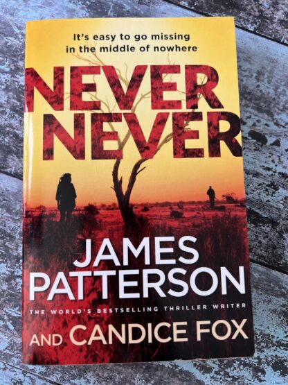 An image of a book by James Patterson - Never Never