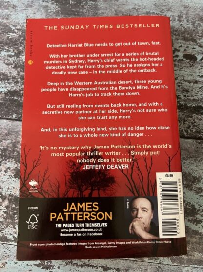 An image of a book by James Patterson - Never Never
