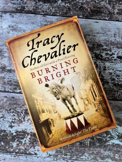 An image of a book by Tracy Chevalier - Burning Bright