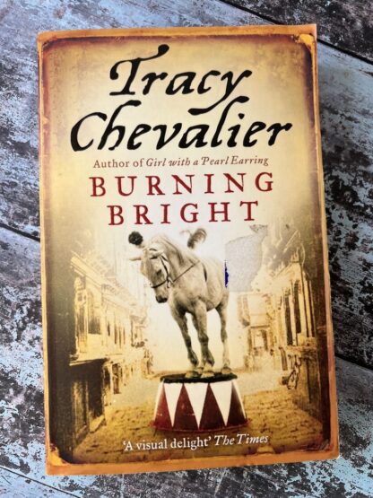 An image of a book by Tracy Chevalier - Burning Bright