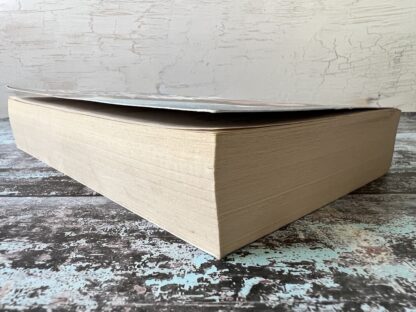 An image of a book by Dilly Court - Snow Bride