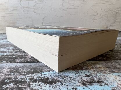 An image of a book by Dilly Court - Snow Bride
