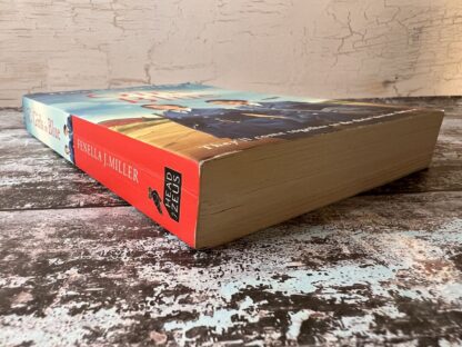 An image of a book by Fenella J Miller - the girls in blue