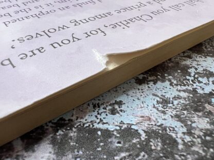 An image of a book by Michel Morpurgo - the Last Wolf
